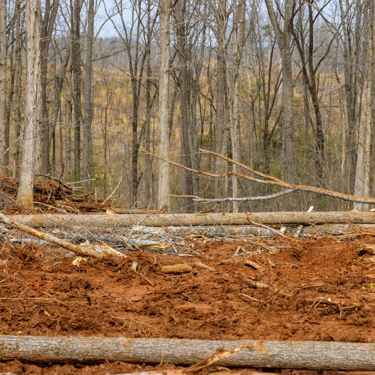 Land restoration services in Sugar Grove, IL