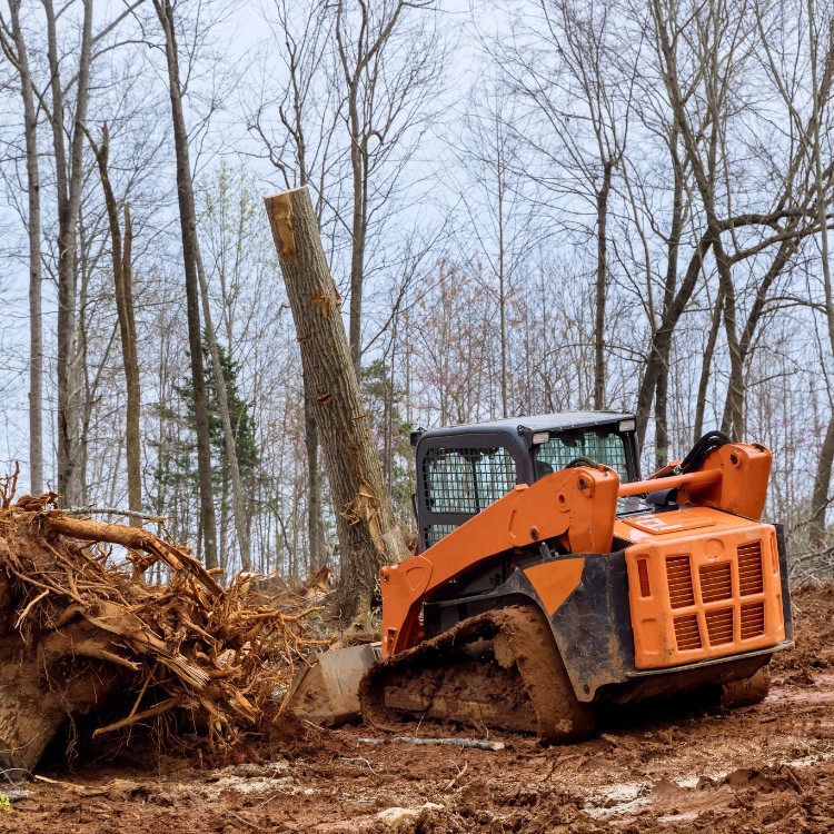 Land restoration services in Sugar Grove, IL