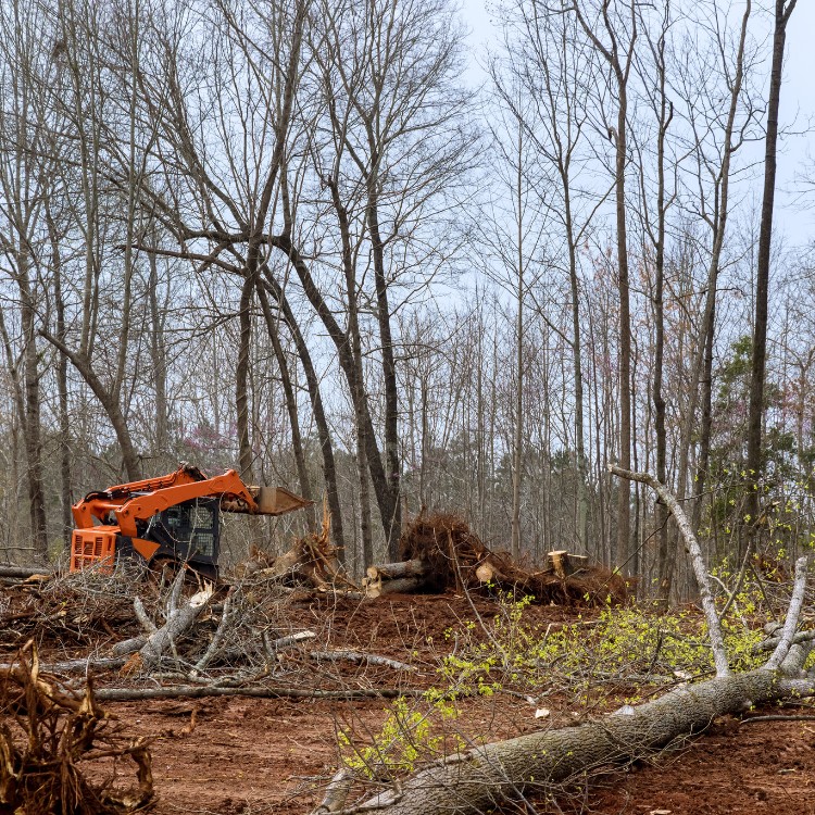 Land restoration services in Sugar Grove, IL