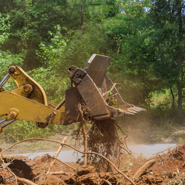 Land restoration services in Sugar Grove, IL